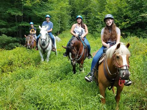 guided horseback riding near me.